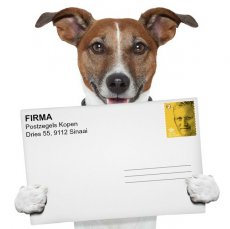 Postzegels voor Bedrijven