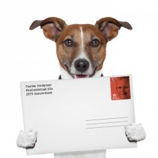 Postzegels voor Particulieren