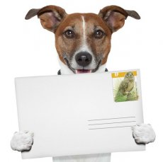 Verzending Aangetekend