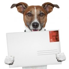 Verzending Nationaal